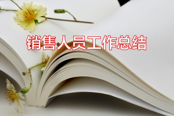 销售人员工作总结专题范文