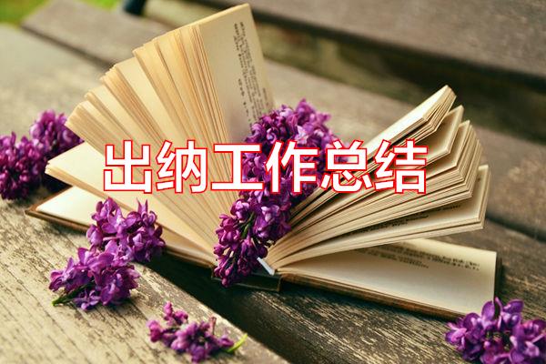 出纳工作总结专题范文